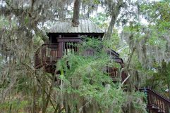 Cabane en bois dans les arbres