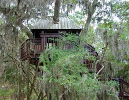 Cabane en bois dans les arbres